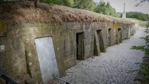 flanders-fields-2