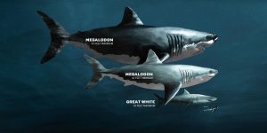prehistoric-sharks