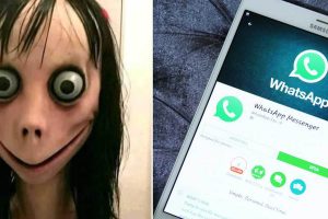 momo-challenge