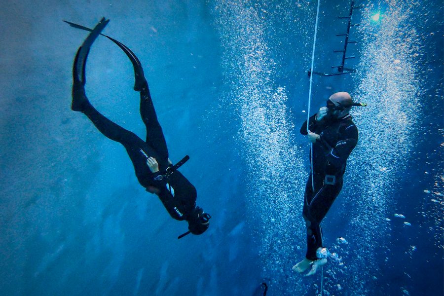 freedive-1