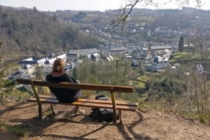 bouillon-top