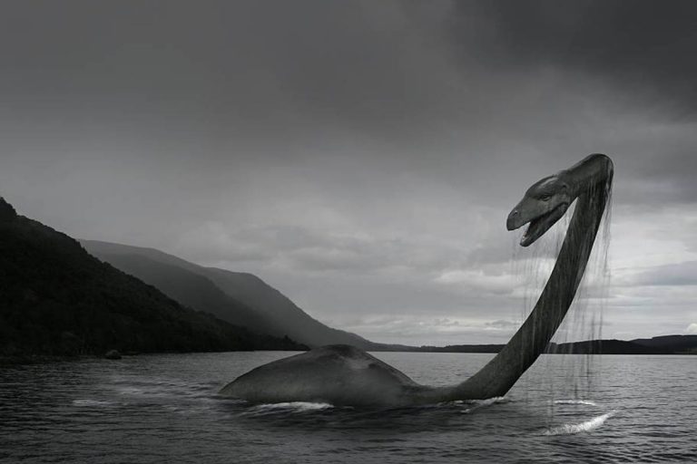 nessie-top